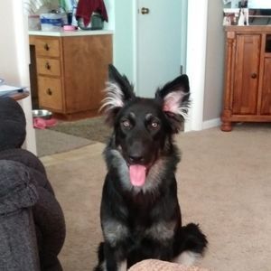 Meet your Posher, Lynn